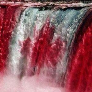 Meet your Posher, Marilyn